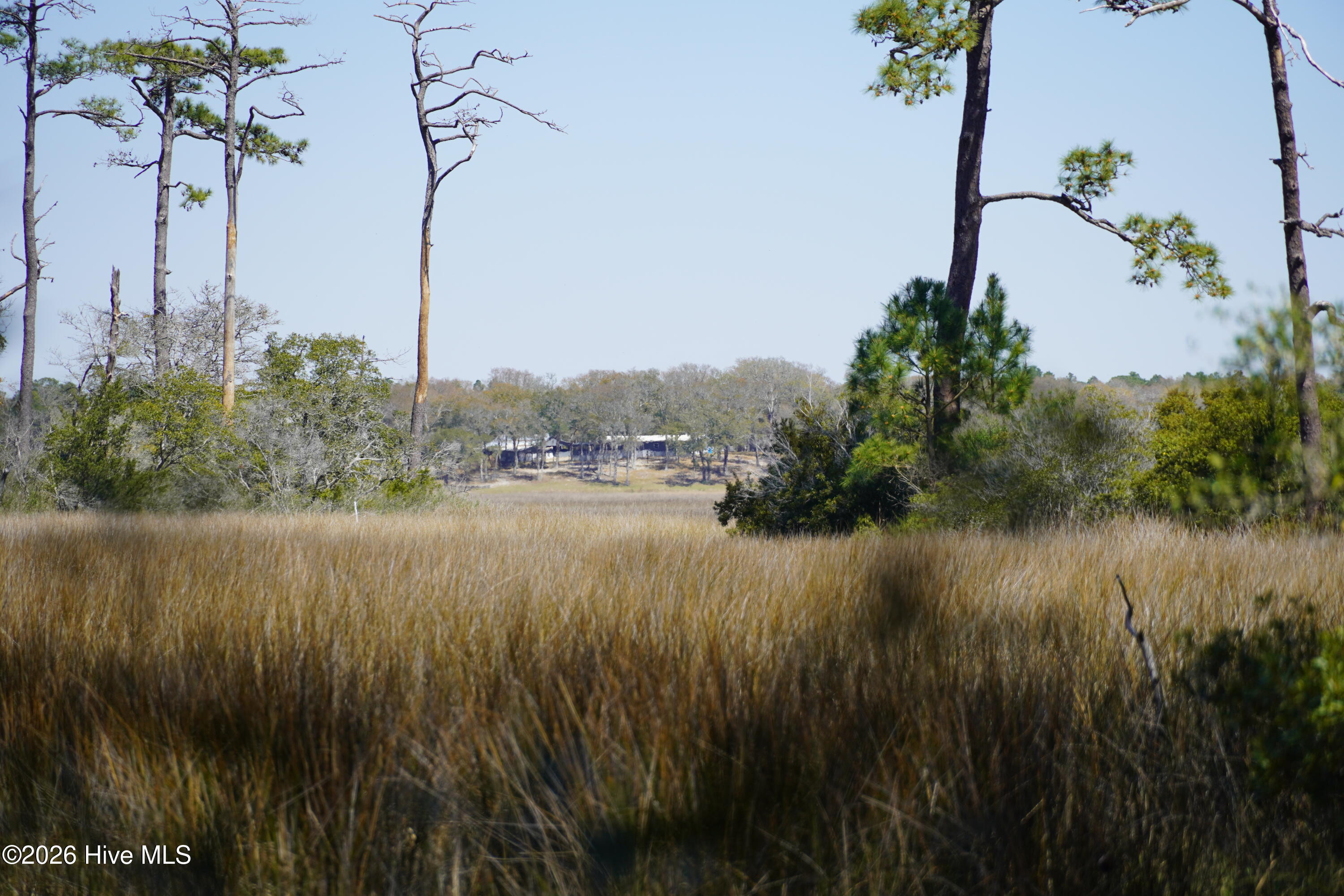 246 Genoe's Point Road Southwest Supply, NC 28462 - Photo 1 of 20 DSC00844