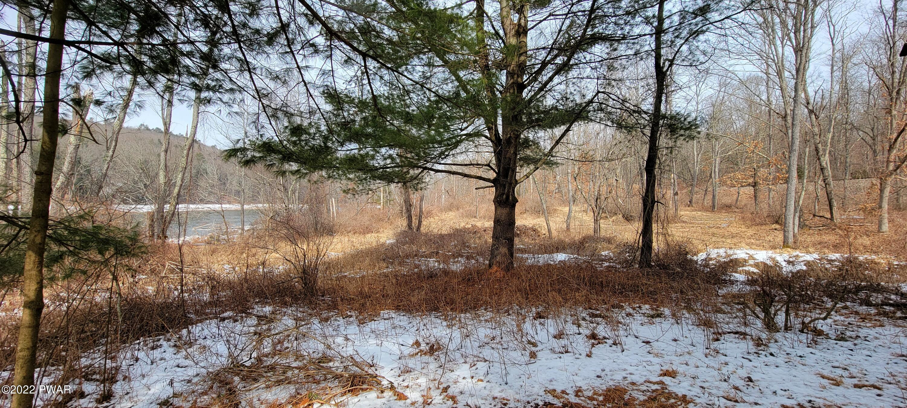 Lot 5.2 Humphrey Road Narrowsburg, NY 12764 - Photo 36 of 51