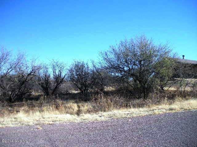 Tbd Calle Garcia Rio Rico, AZ 85648 - Photo 1 of 10