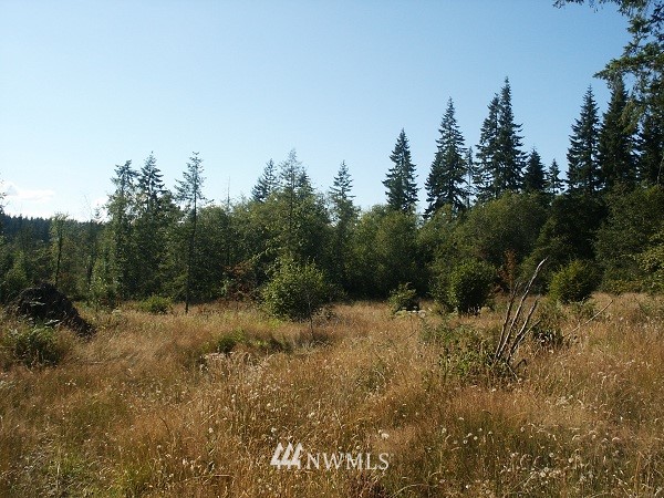 218 Wiley Road Silverlake, WA 98645 - Photo 1 of 1 Gallery Image 1