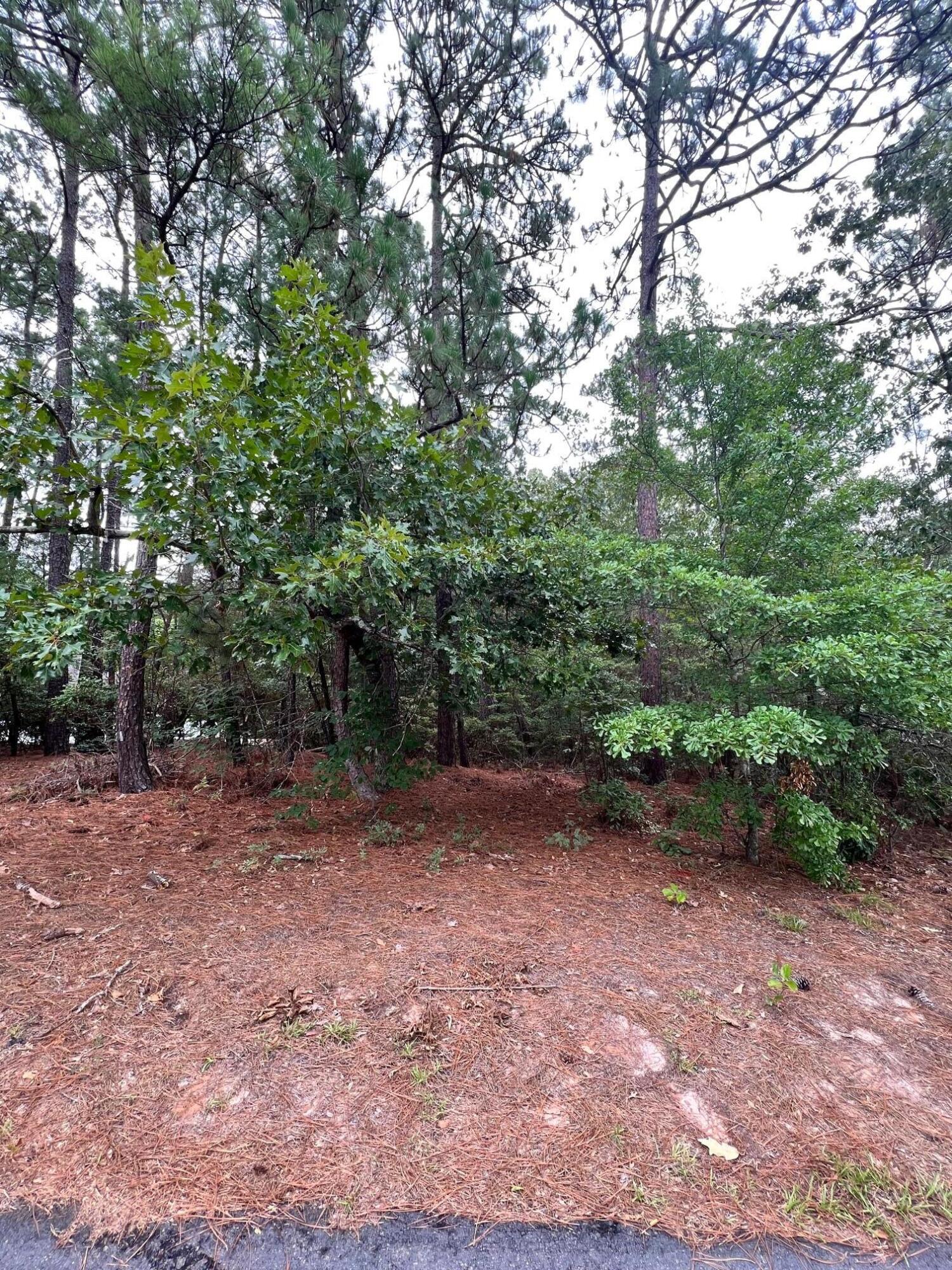 2666 Ramblewood Road Aiken, SC 29803 - Photo 3 of 6