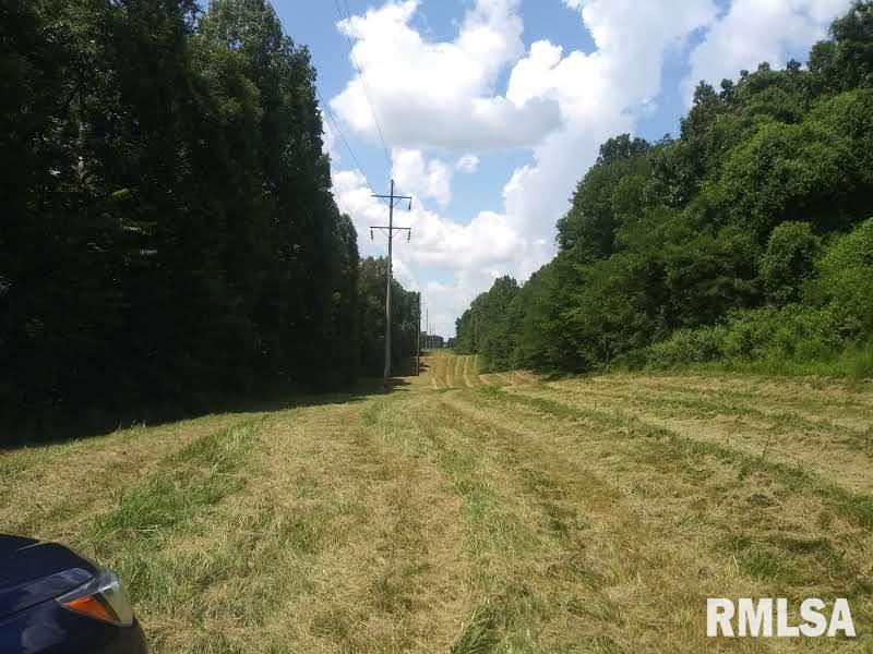3490 Dogwalk Road Anna, IL 62906 - Photo 3 of 19