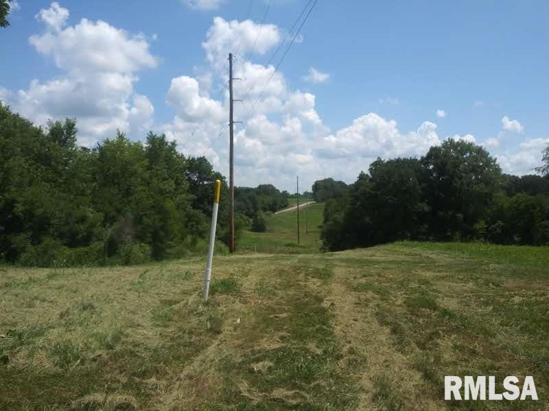 3490 Dogwalk Road Anna, IL 62906 - Photo 4 of 19