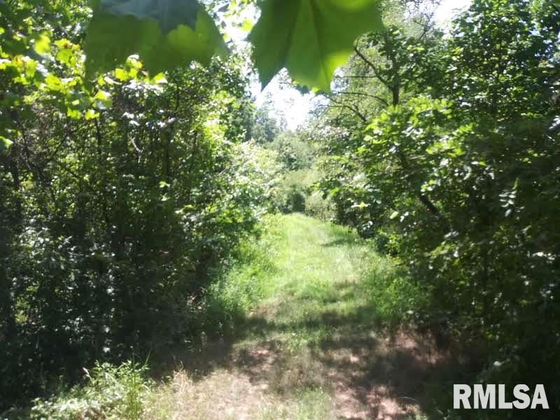 3490 Dogwalk Road Anna, IL 62906 - Photo 5 of 19