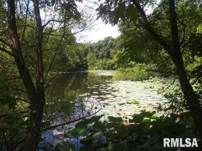 3490 Dogwalk Road Anna, IL 62906 - Photo 7 of 19