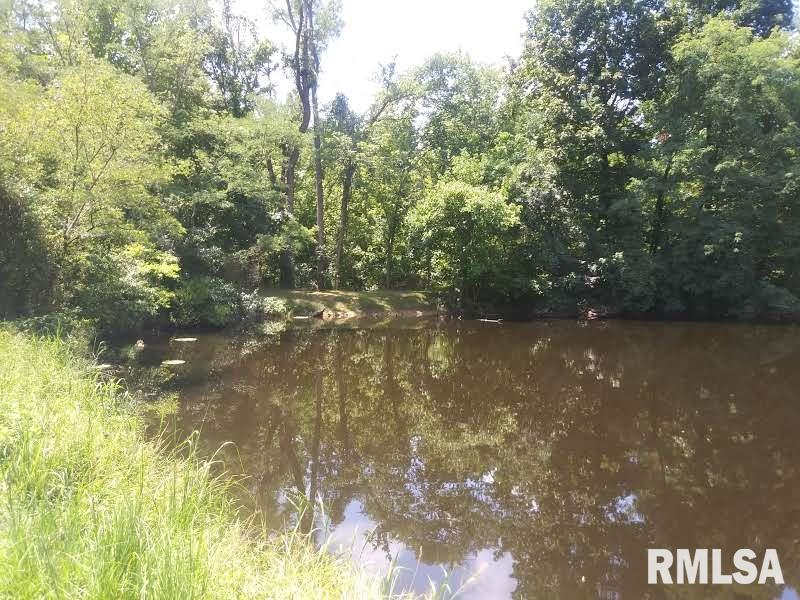 3490 Dogwalk Road Anna, IL 62906 - Photo 9 of 19