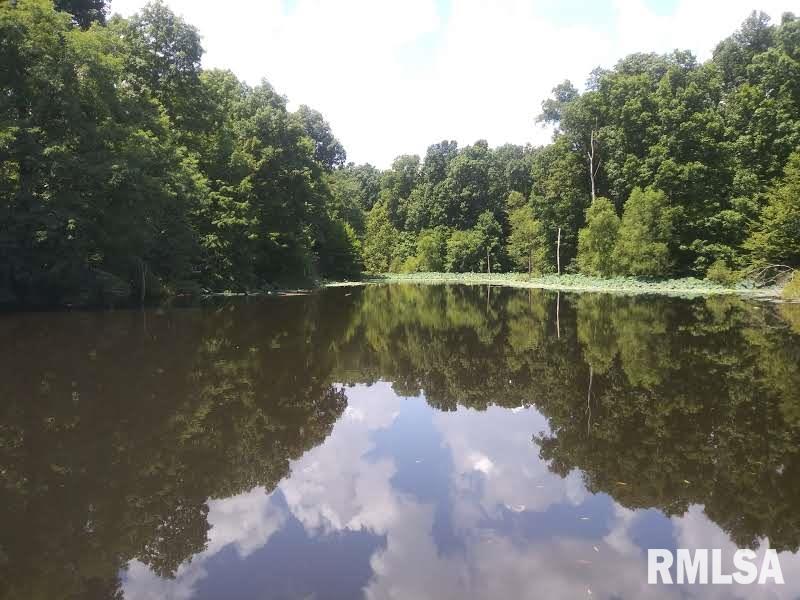 3490 Dogwalk Road Anna, IL 62906 - Photo 10 of 19
