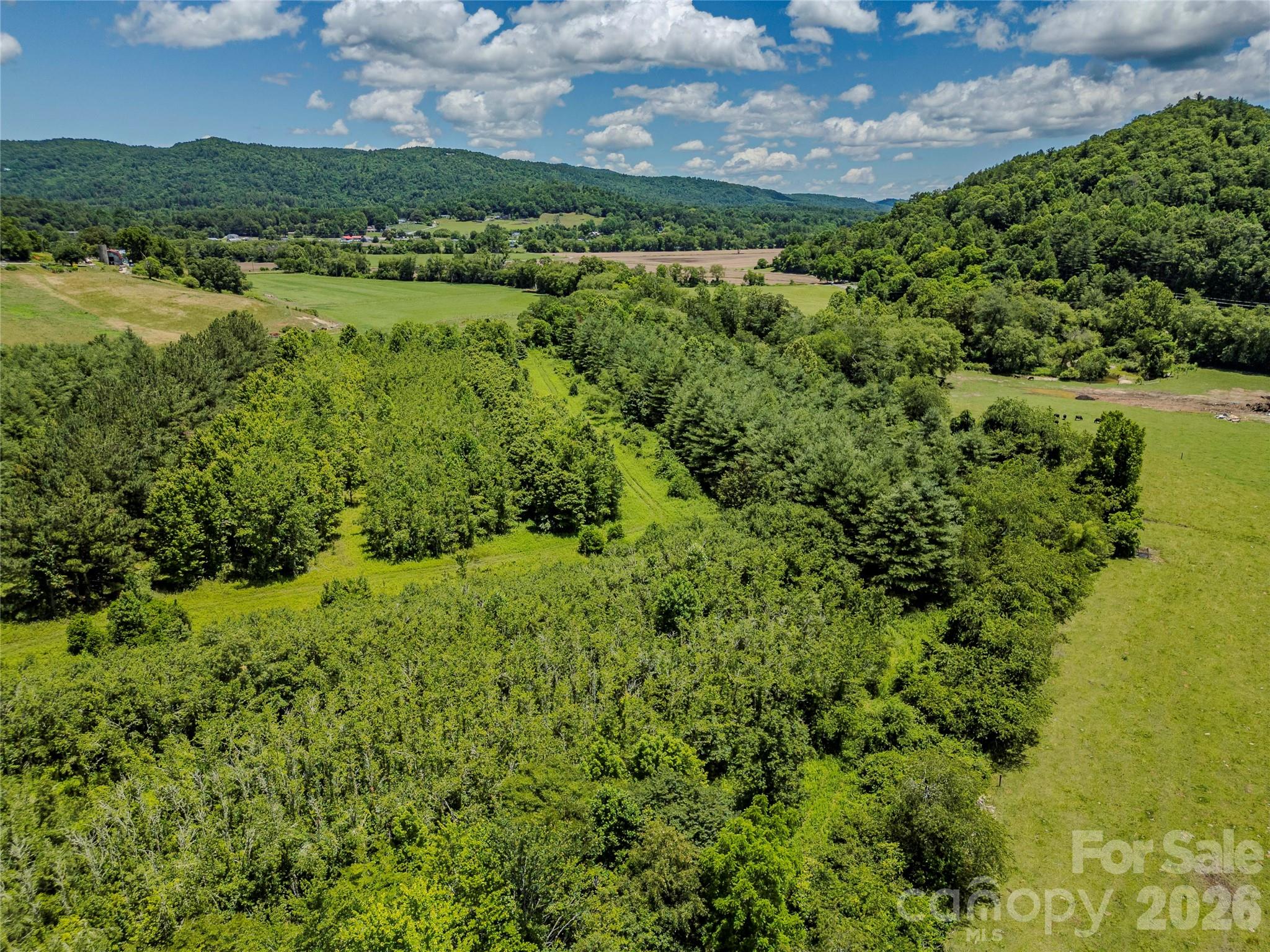 Tbd Canebrake Road Pisgah Forest, NC 28768 - Photo 37 of 43