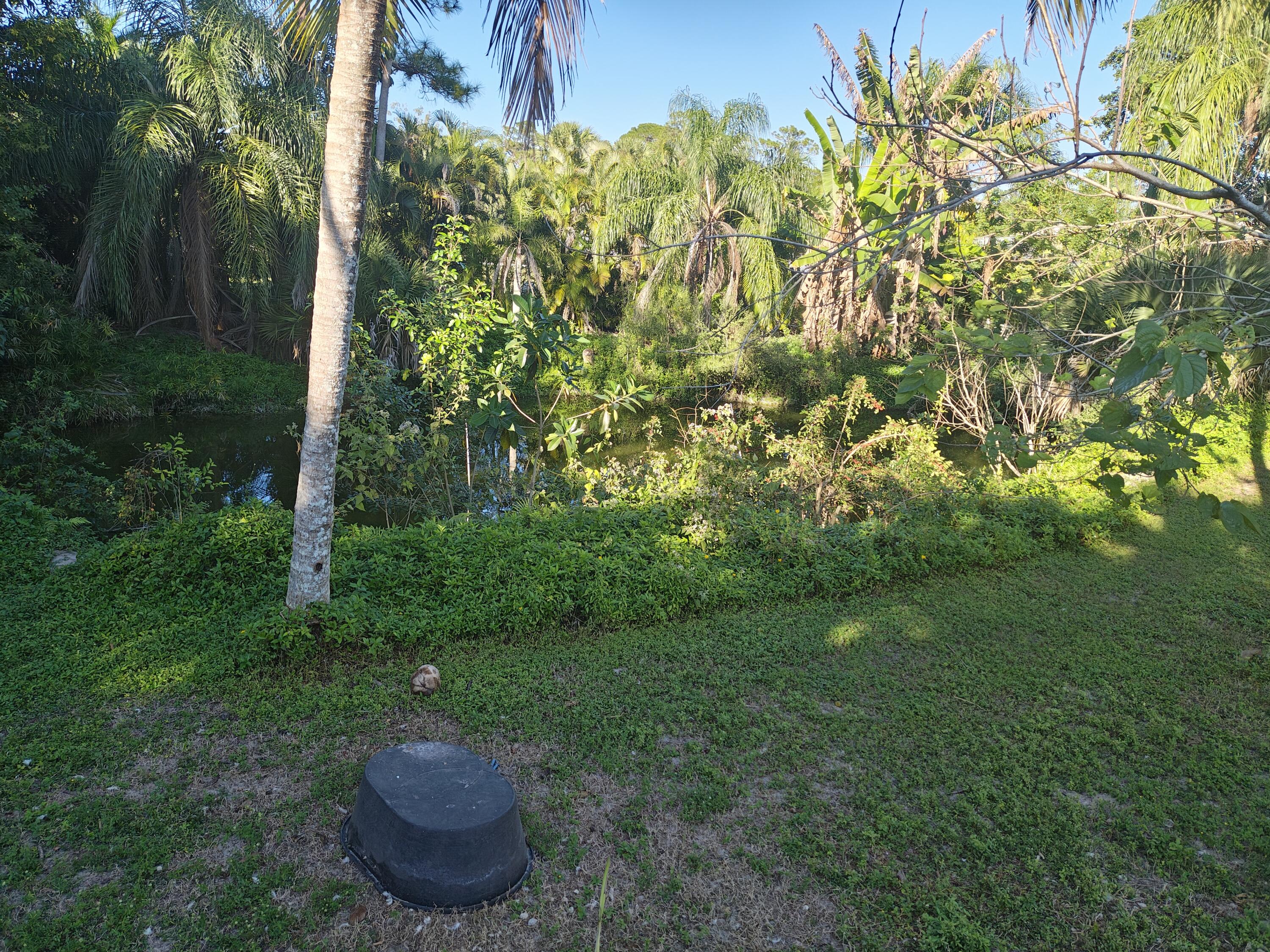 13747 42nd Road North Royal Palm Beach, FL 33411 - Photo 10 of 31 a view of a garden with plants and a fountain
