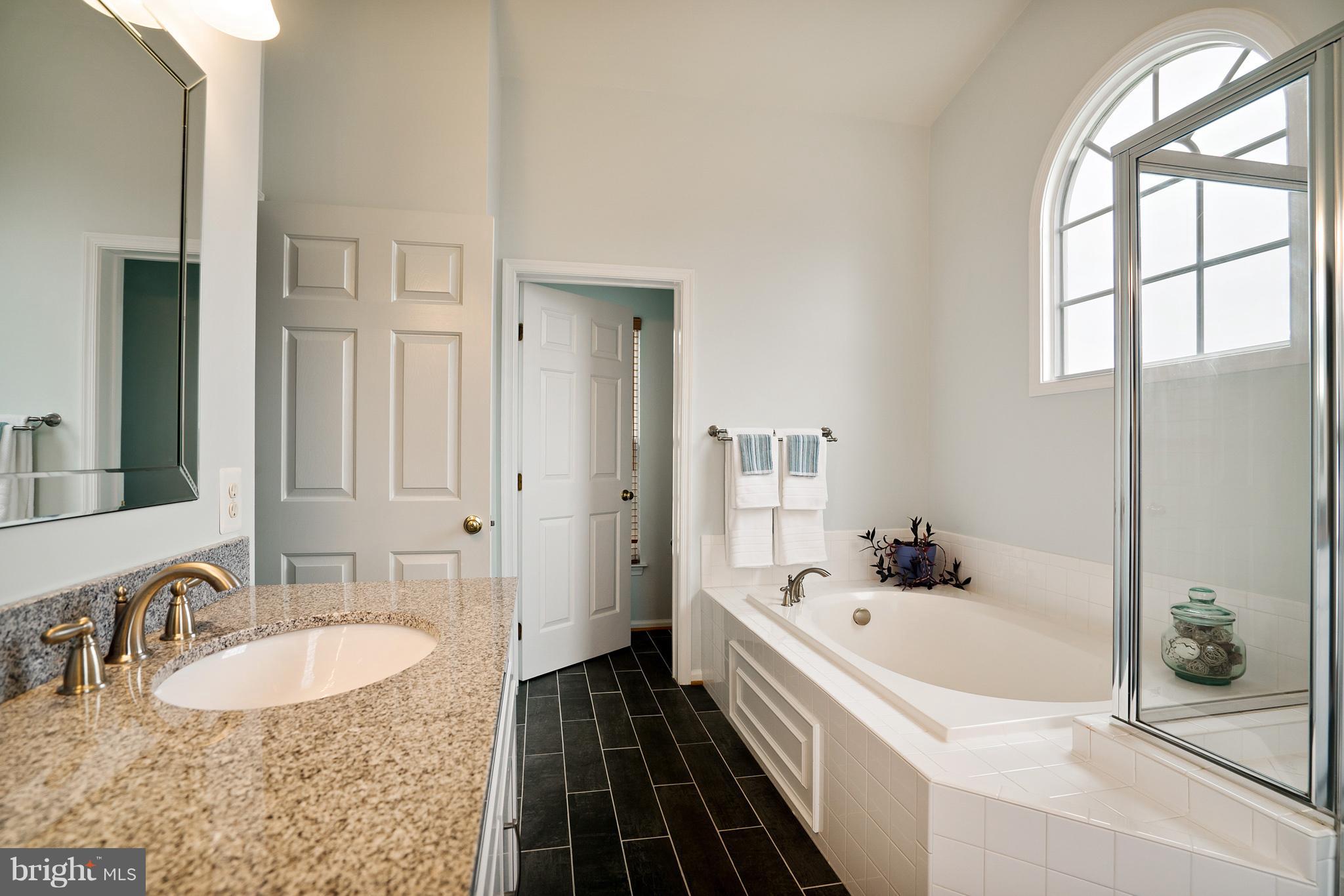 18411 Cornflower Road Boyds, MD 20841 - Photo 20 of 28 a bathroom with a tub sink and mirror