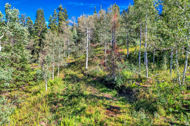 1743 Pine Loop Road, Unit 69 Coalville, UT 84017 - Photo 8 of 12 Gallery Image 8