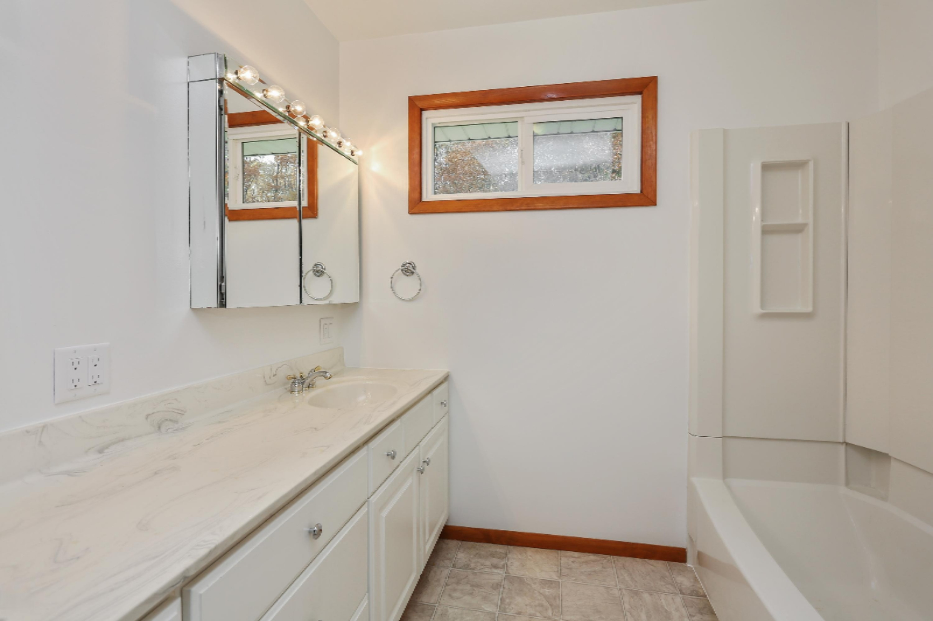 15609 Lakeside Road Three Oaks, MI 49128 - Photo 8 of 15 Full Bath
