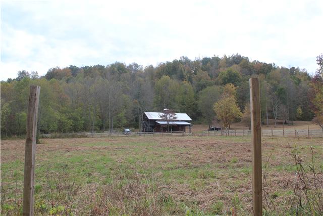 2226 Mt Pleasant Cemetery Road Primm Springs, TN 38476 - Photo 1 of 20 Gallery Image 1