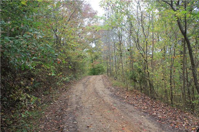 2226 Mt Pleasant Cemetery Road Primm Springs, TN 38476 - Photo 2 of 20 Gallery Image 2