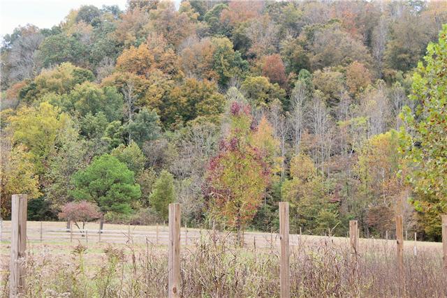 2226 Mt Pleasant Cemetery Road Primm Springs, TN 38476 - Photo 14 of 20 Gallery Image 14