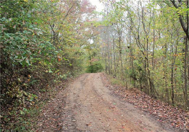 2226 Mt Pleasant Cemetery Road Primm Springs, TN 38476 - Photo 20 of 20 Gallery Image 20