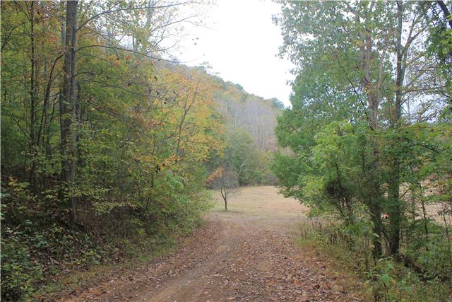 2226 Mt Pleasant Cemetery Road Primm Springs, TN 38476 - Photo 3 of 20 Gallery Image 3