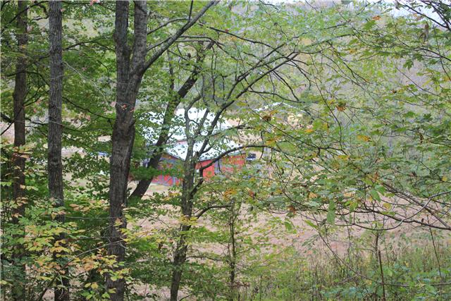 2226 Mt Pleasant Cemetery Road Primm Springs, TN 38476 - Photo 4 of 20 Gallery Image 4