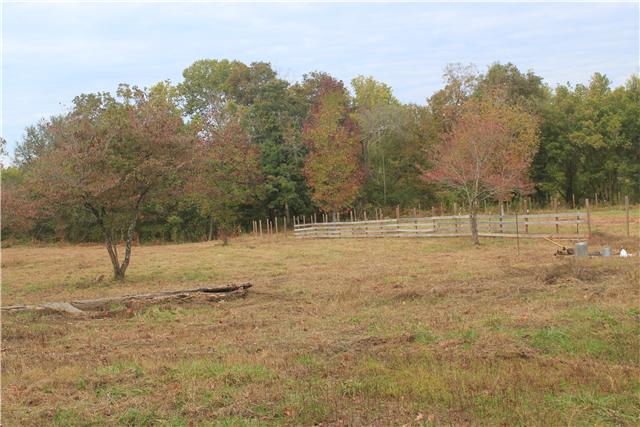 2226 Mt Pleasant Cemetery Road Primm Springs, TN 38476 - Photo 6 of 20 Gallery Image 6
