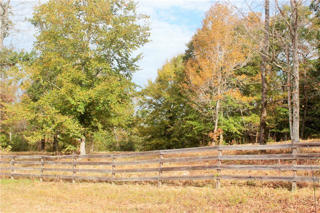 2226 Mt Pleasant Cemetery Road Primm Springs, TN 38476 - Photo 7 of 20 Gallery Image 7
