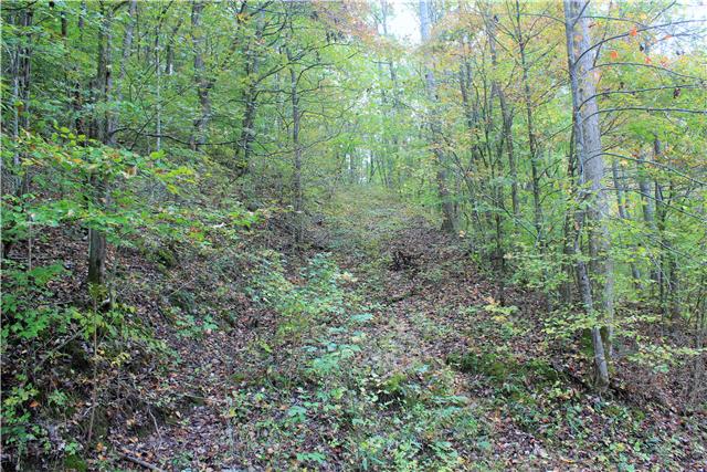 2226 Mt Pleasant Cemetery Road Primm Springs, TN 38476 - Photo 8 of 20 Gallery Image 8