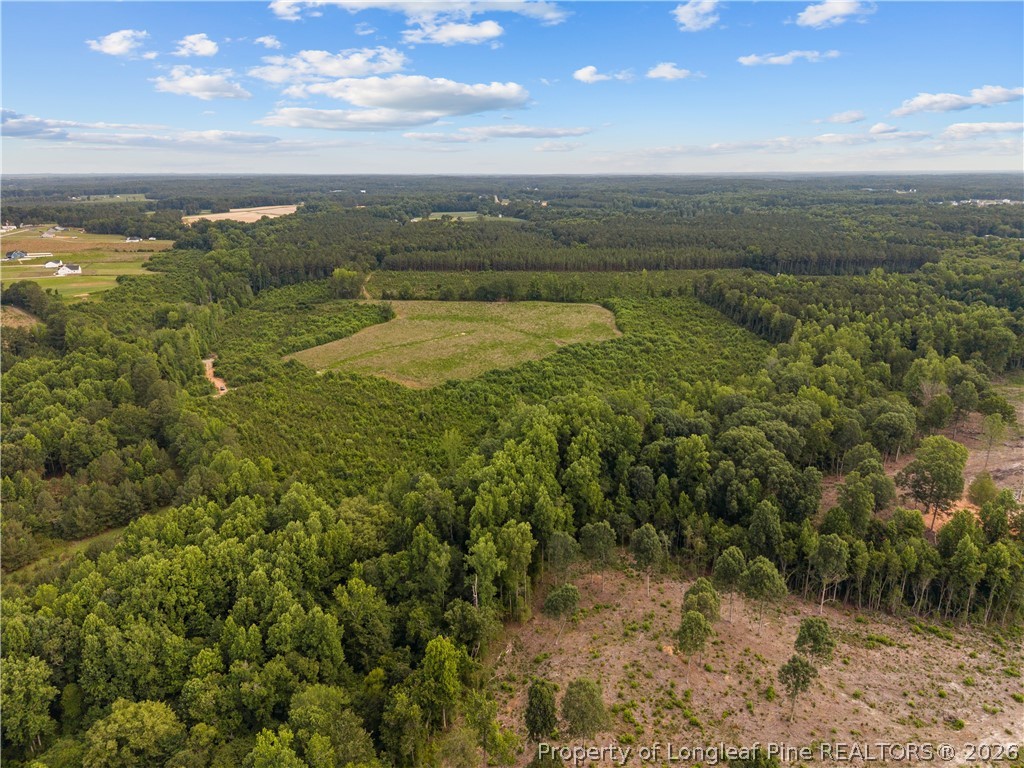 Leaflet Church Road Lillington, NC 27546 - Photo 5 of 20
