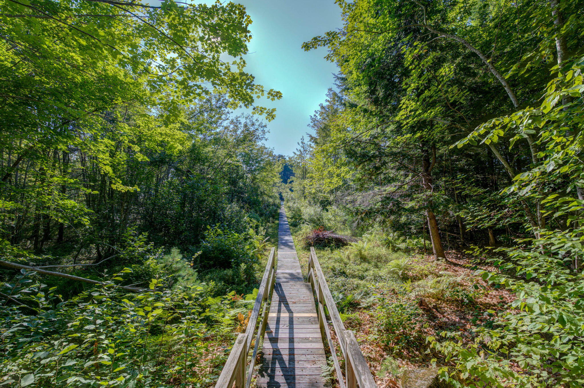 15 Worcester Drive Raymond, ME 04071 - Photo 36 of 53 34-web-or-mls-pic-34 - Copy