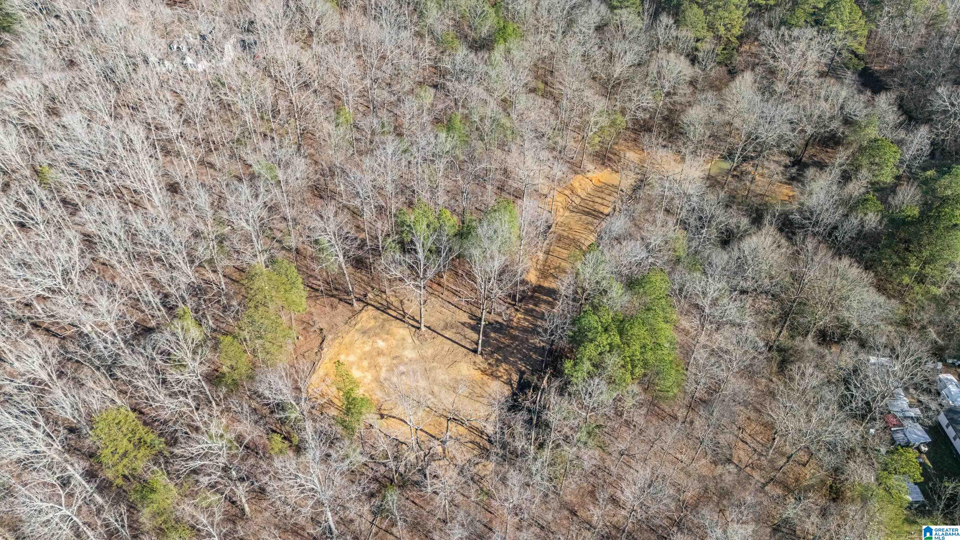 7019 Groundhog Road, Unit 1 Morris, AL 35116 - Photo 9 of 22