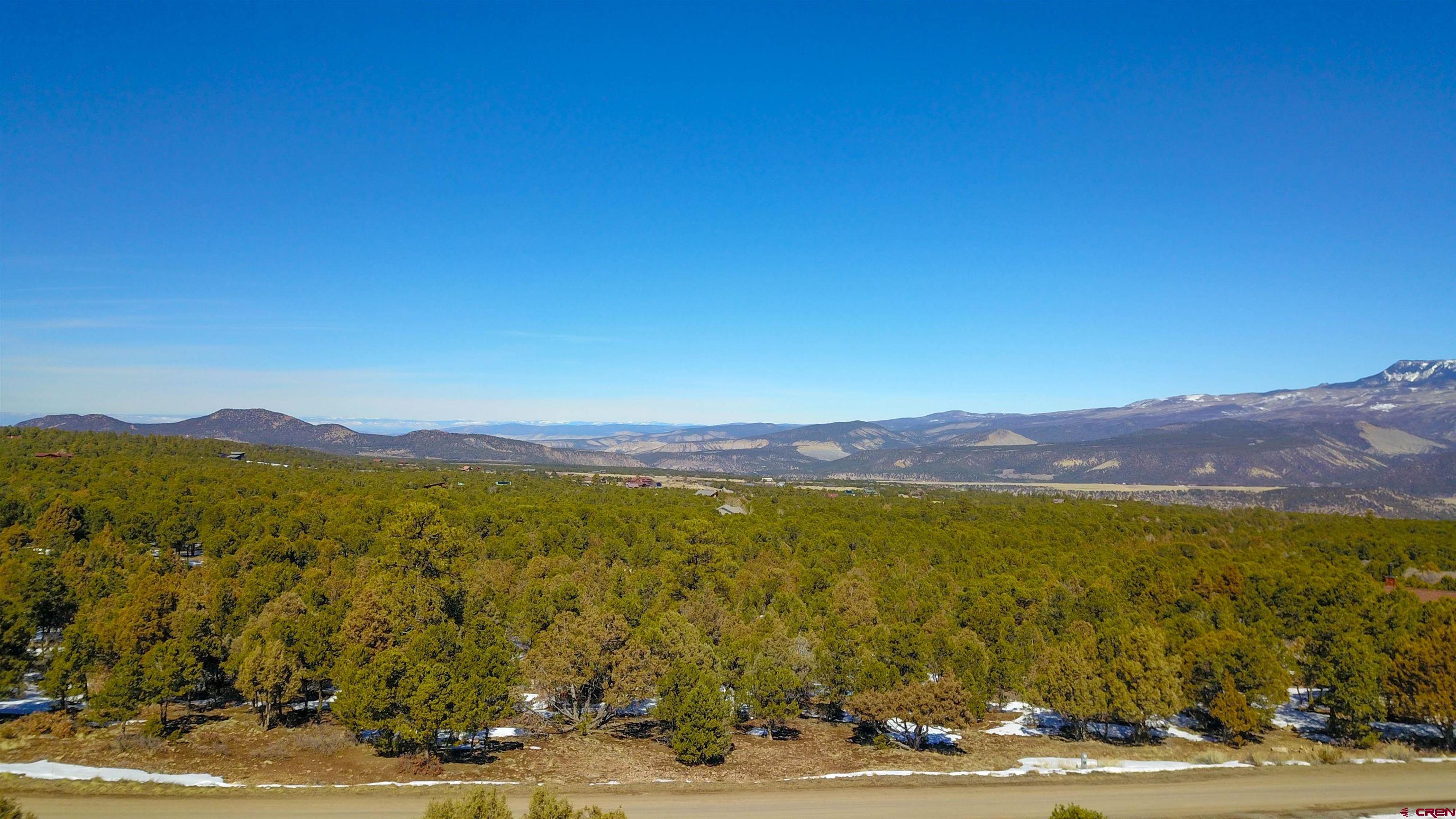 Tbd West Tbd W Pinon Road Ridgway, CO 81432 - Photo 23 of 23 Gallery Image 23