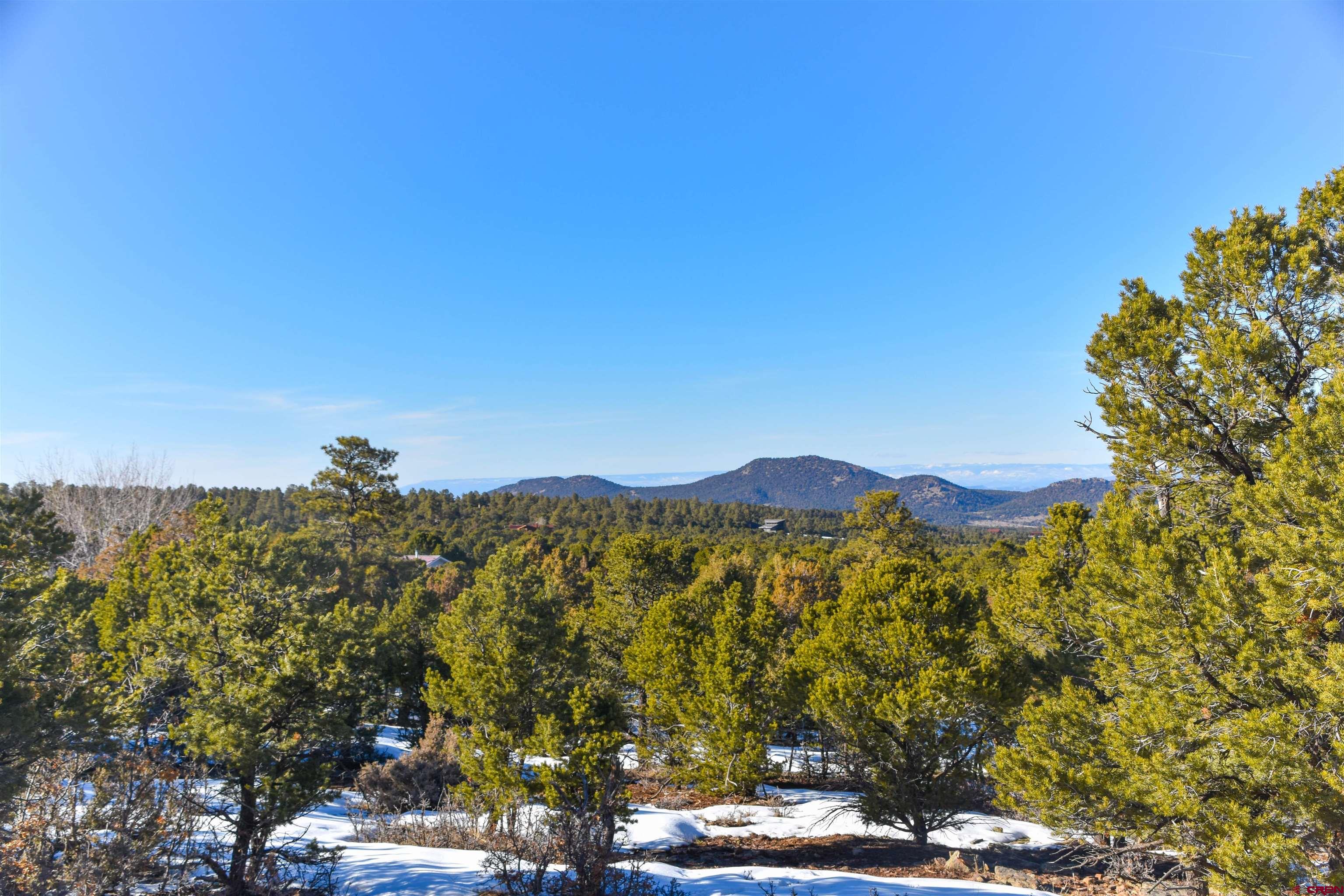 Tbd West Tbd W Pinon Road Ridgway, CO 81432 - Photo 3 of 23 Gallery Image 3