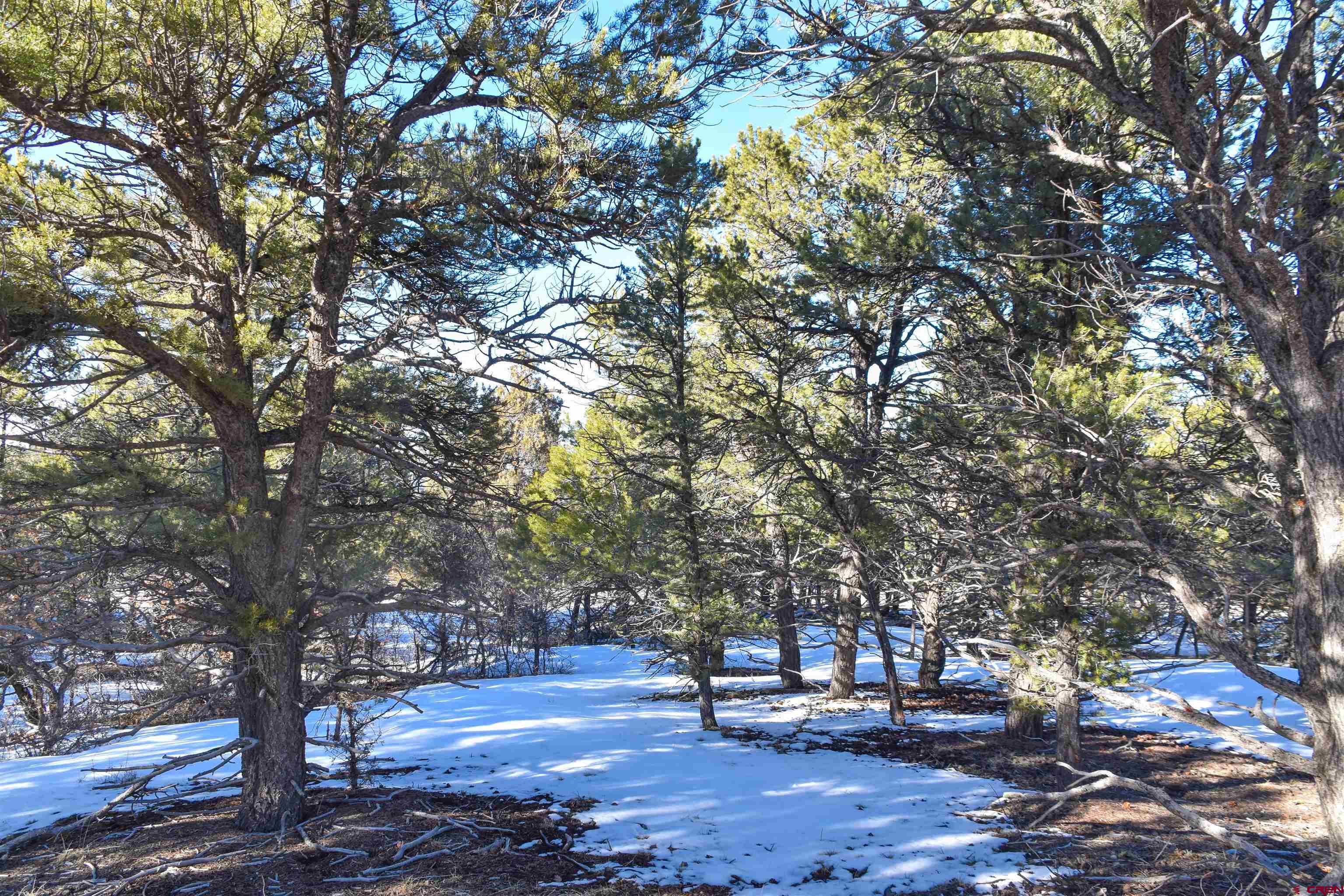 Tbd West Tbd W Pinon Road Ridgway, CO 81432 - Photo 4 of 23 Gallery Image 4