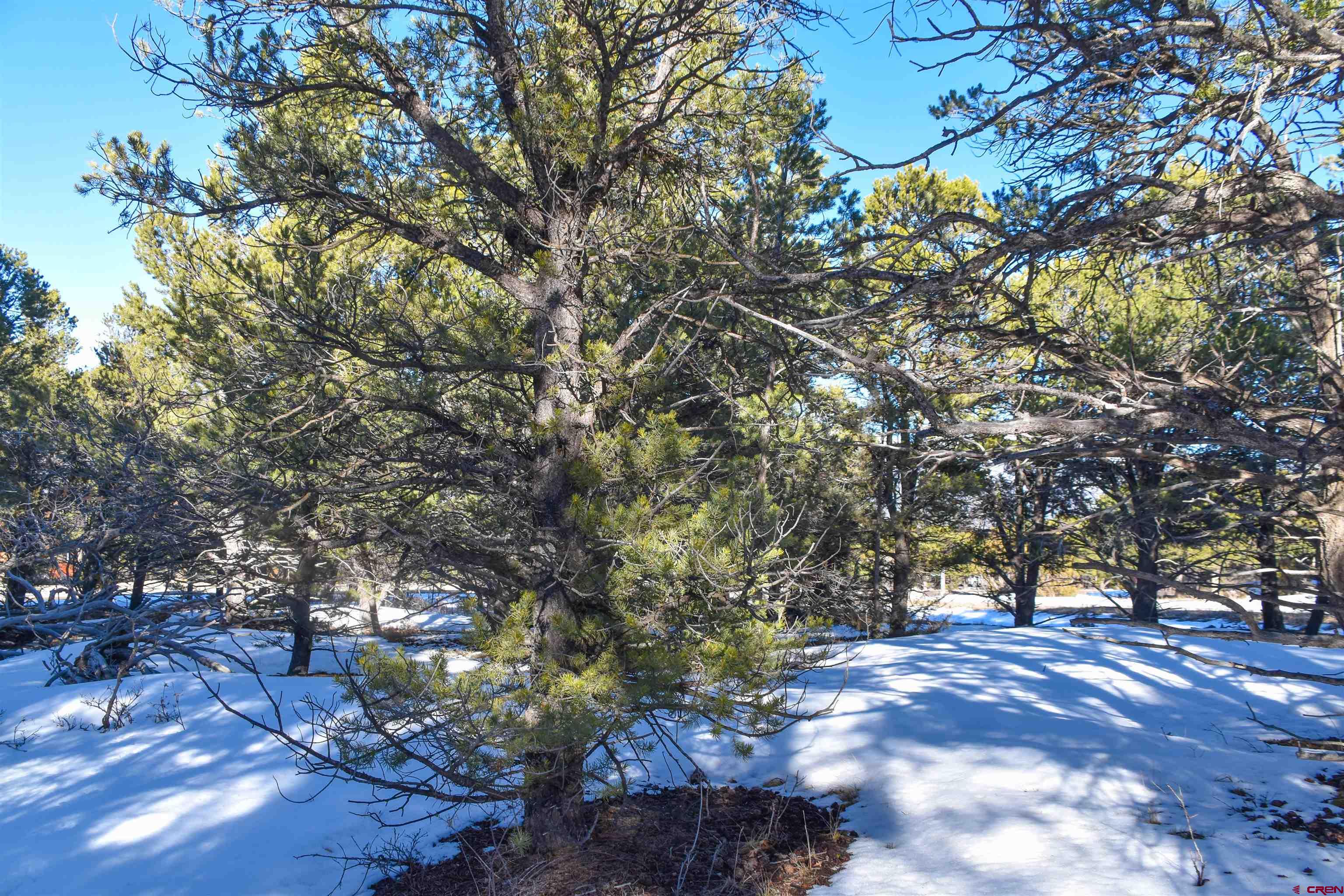 Tbd West Tbd W Pinon Road Ridgway, CO 81432 - Photo 5 of 23 Gallery Image 5