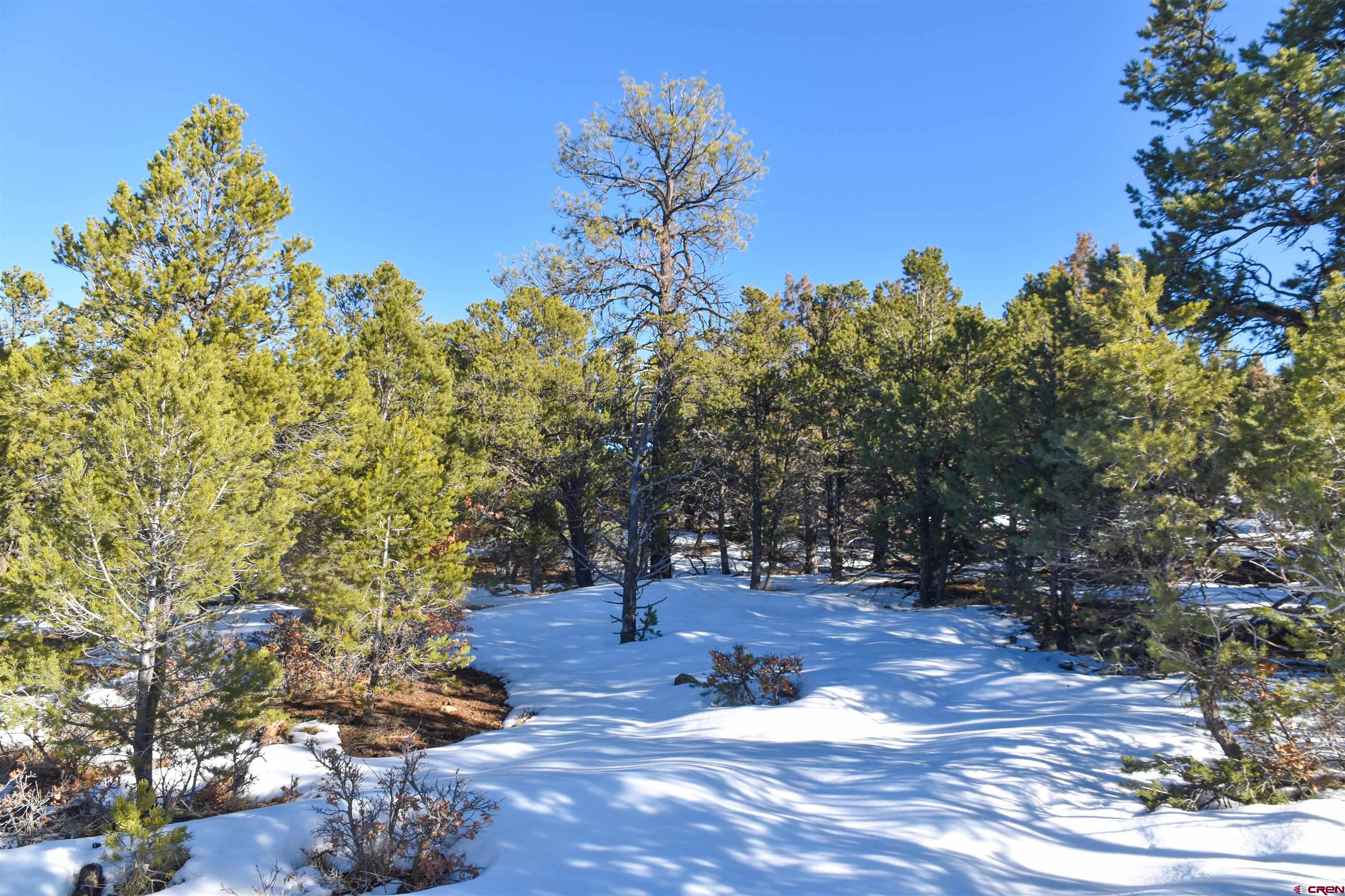 Tbd West Tbd W Pinon Road Ridgway, CO 81432 - Photo 8 of 23 Gallery Image 8