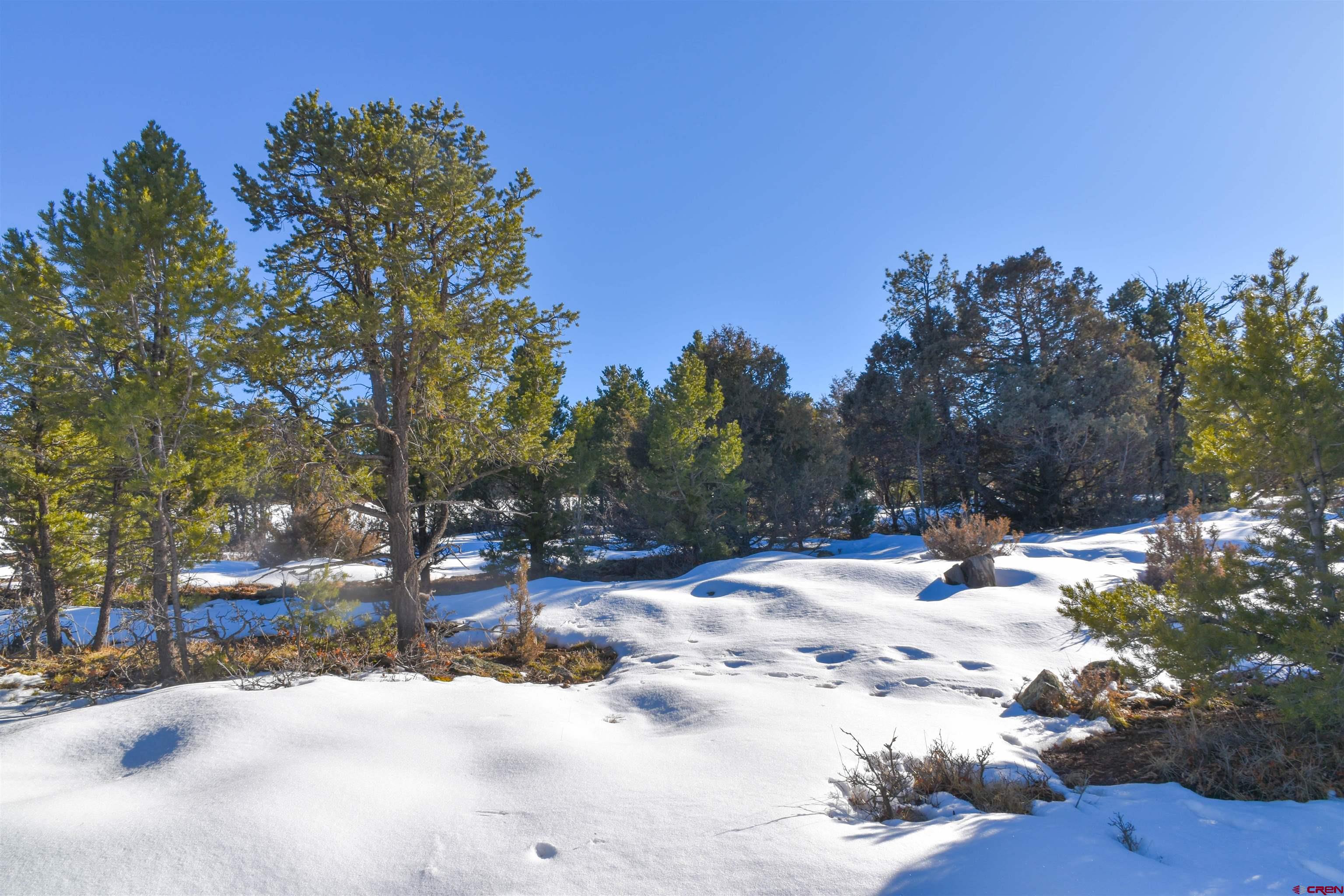 Tbd West Tbd W Pinon Road Ridgway, CO 81432 - Photo 10 of 23 Gallery Image 10