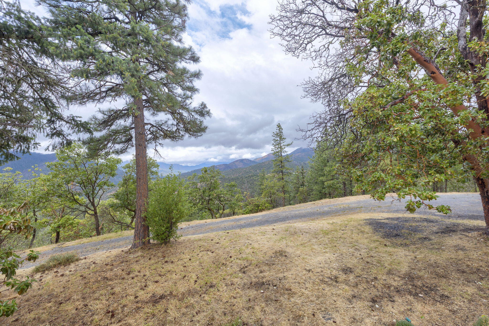 9595 Sterling Creek Road Jacksonville, OR 97530 - Photo 59 of 76 a view of an outdoor space with trees
