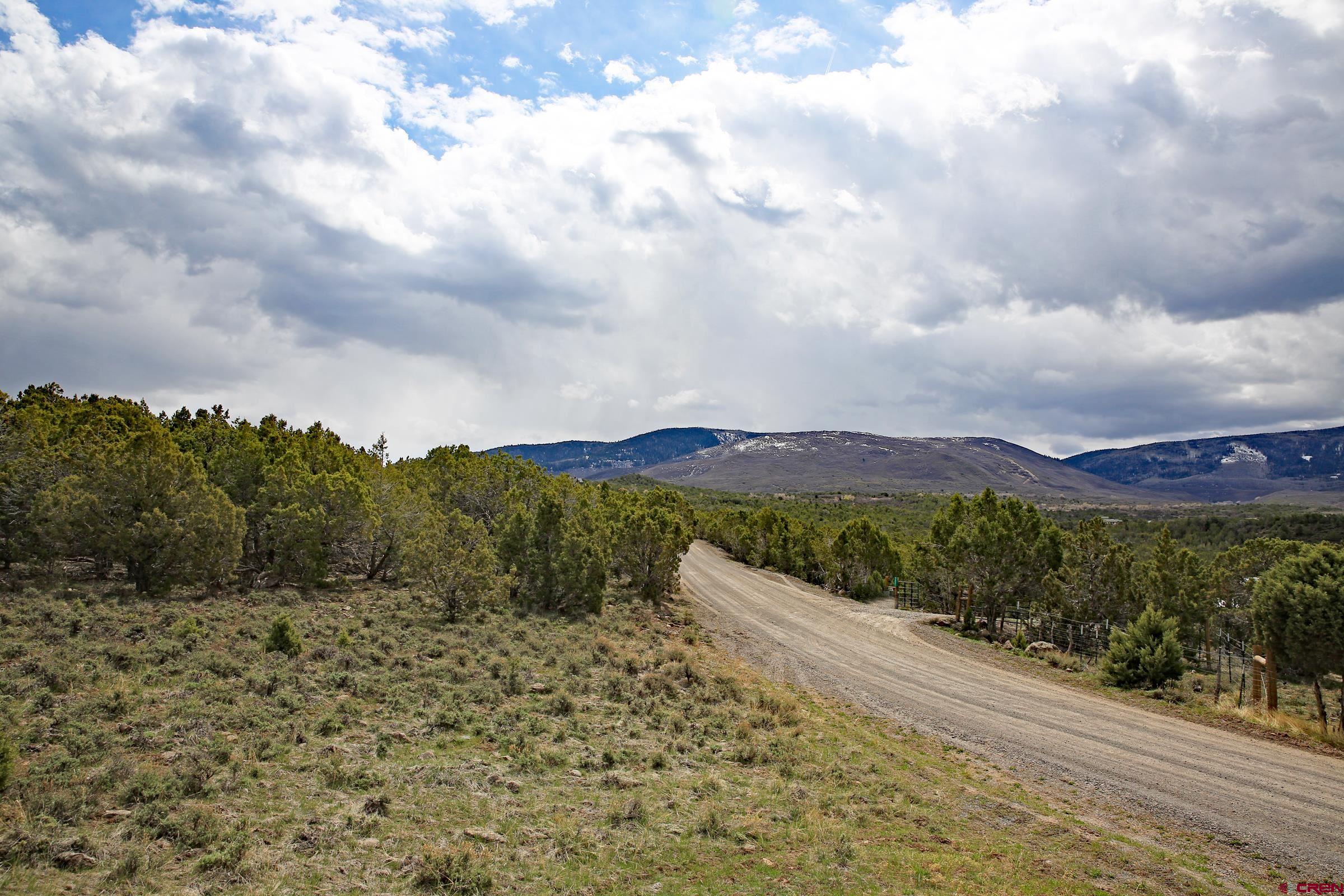 Tbd Kk Road Molina, CO 81646 - Photo 7 of 11 a view of a street with a yard in back