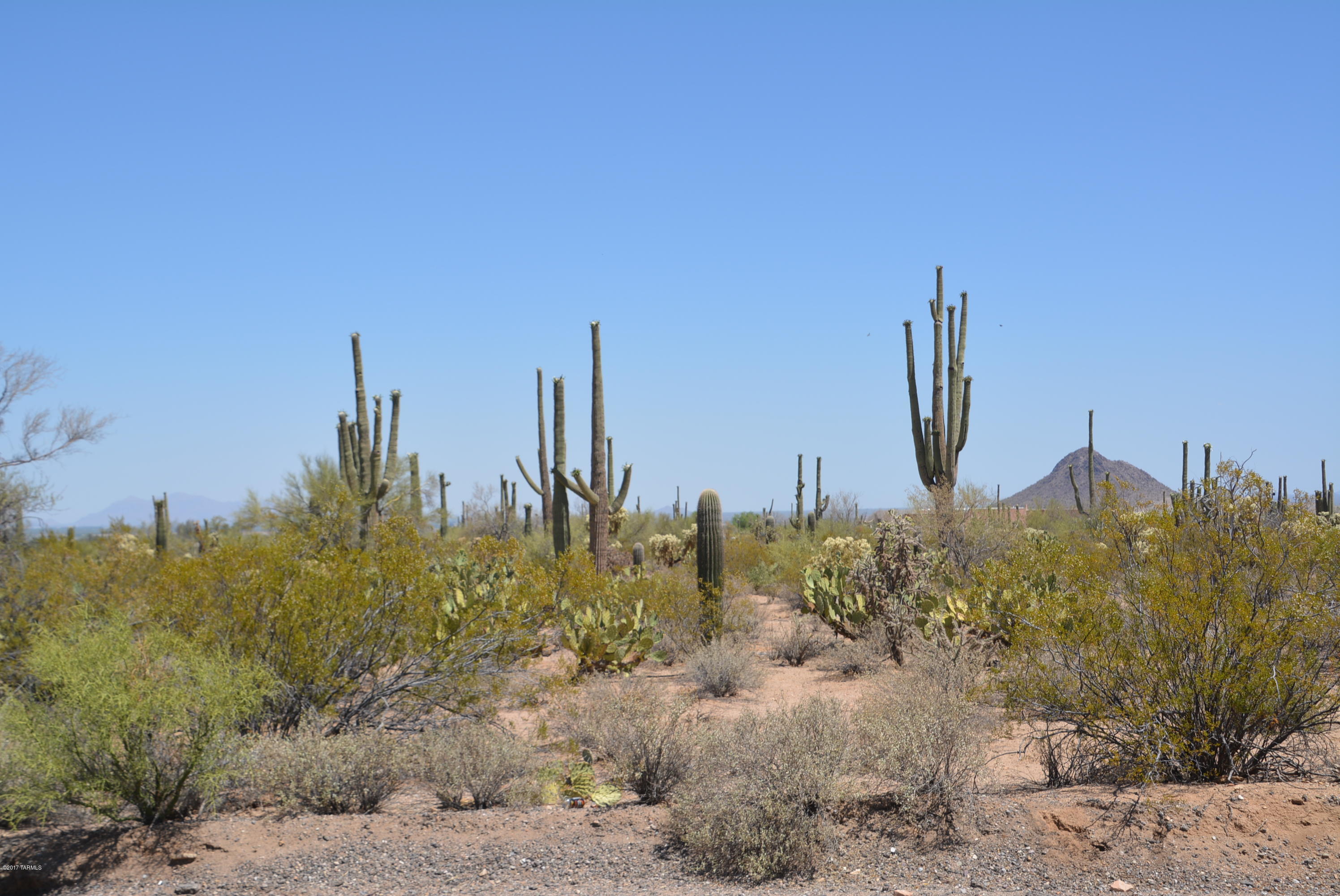 0 West Rudasill Road, Unit EAST Tucson, AZ 85743 - Photo 13 of 13