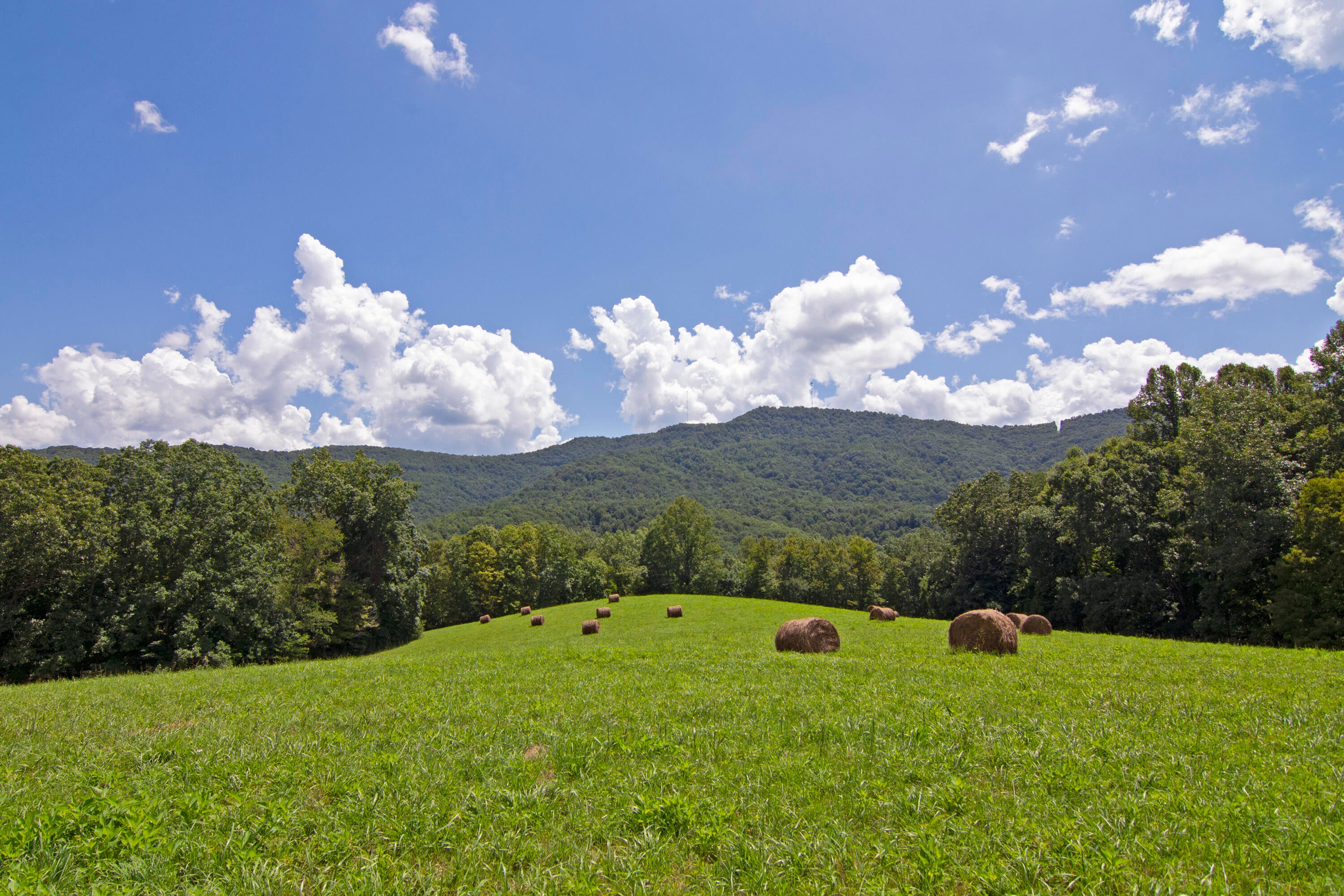 276 Lone Willow Mountain Road Sandstone, WV 25985 - Photo 61 of 67 Gallery Image 61
