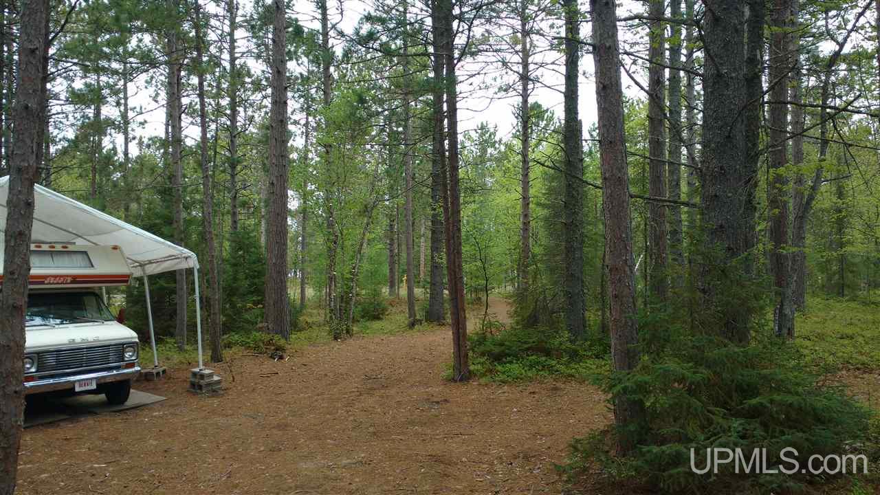 Tbd Little Rice Lake Road, Unit 57 Lake Linden, MI 49945 - Photo 8 of 9