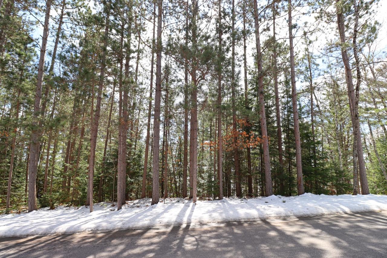 3789 Chain O Lakes Road Eagle River, WI 54521 - Photo 24 of 39 Gallery Image 24
