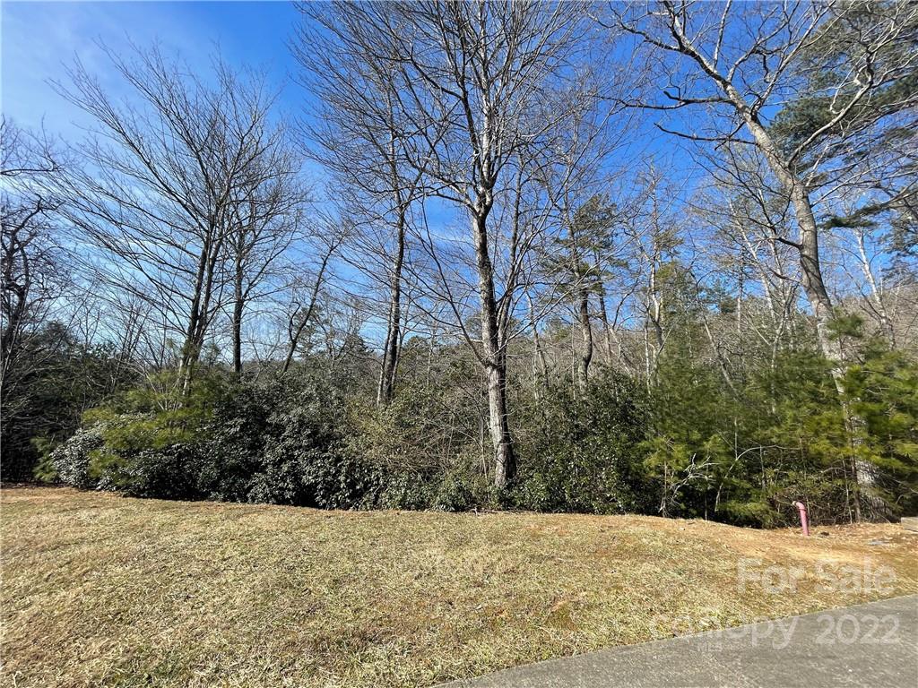 Sh11 Springhouse Trail Brevard, NC 28712 - Photo 2 of 25