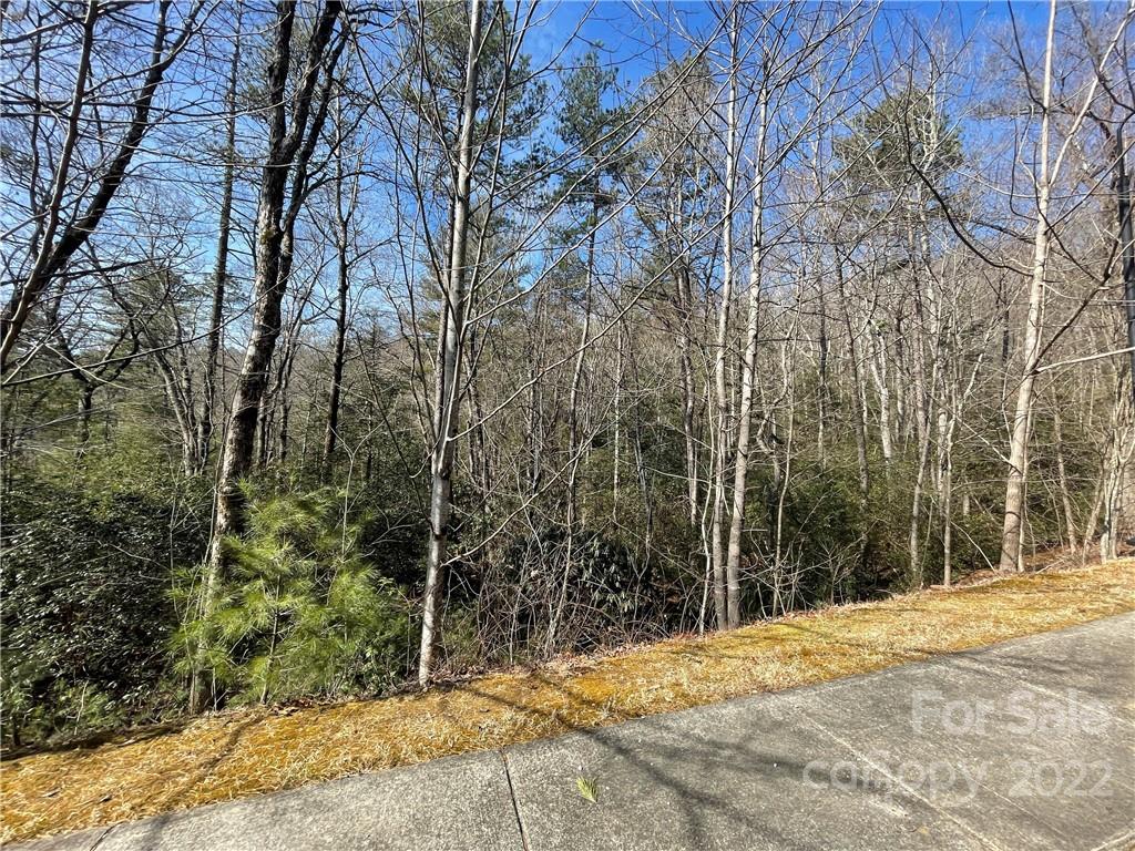 Sh11 Springhouse Trail Brevard, NC 28712 - Photo 4 of 25