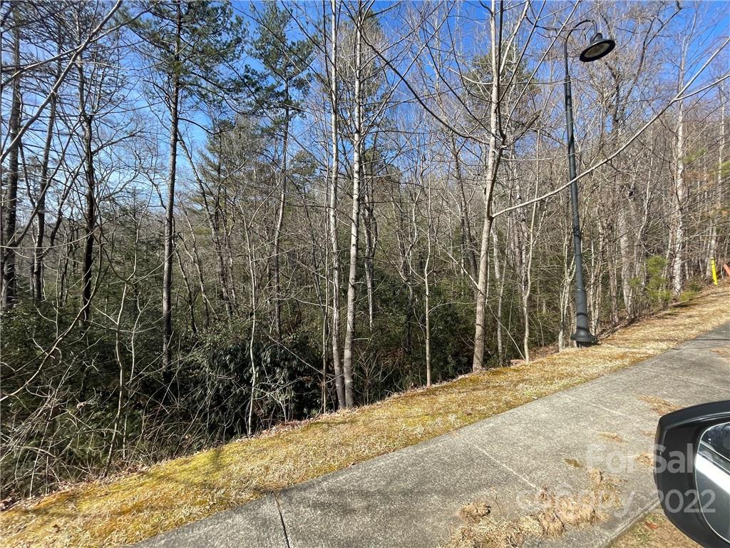 Sh11 Springhouse Trail Brevard, NC 28712 - Photo 5 of 25