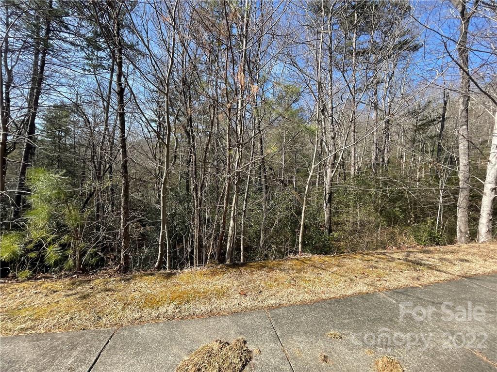 Sh11 Springhouse Trail Brevard, NC 28712 - Photo 6 of 25