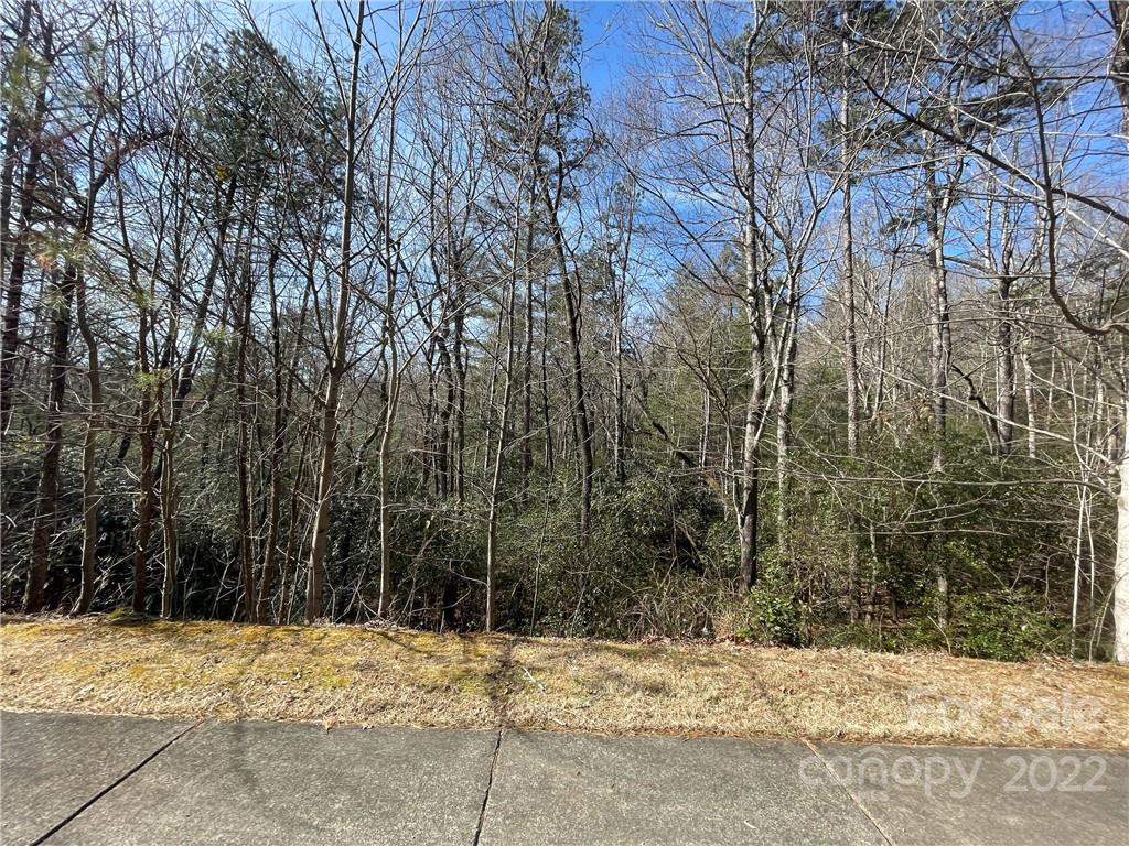 Sh11 Springhouse Trail Brevard, NC 28712 - Photo 7 of 25