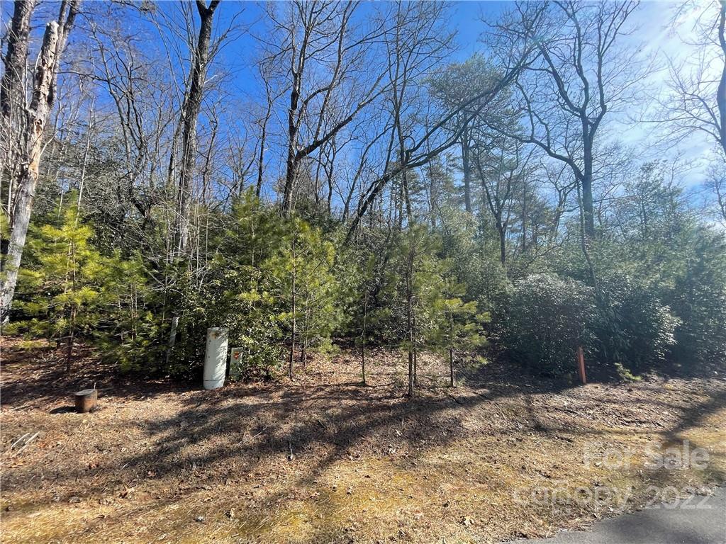 Sh11 Springhouse Trail Brevard, NC 28712 - Photo 8 of 25