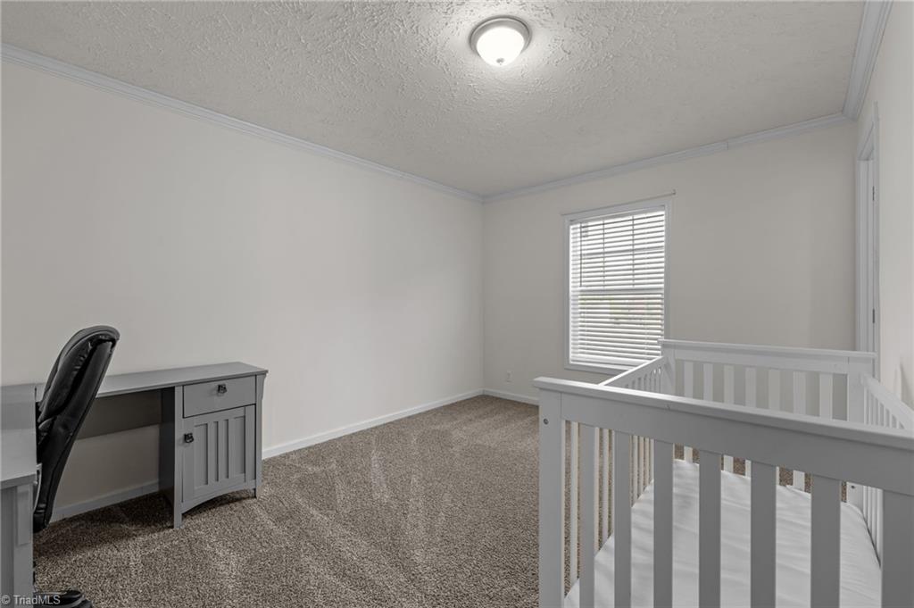 5424 Doc Hayworth Road Ramseur, NC 27316 - Photo 31 of 44