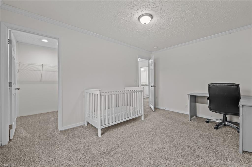 5424 Doc Hayworth Road Ramseur, NC 27316 - Photo 32 of 44