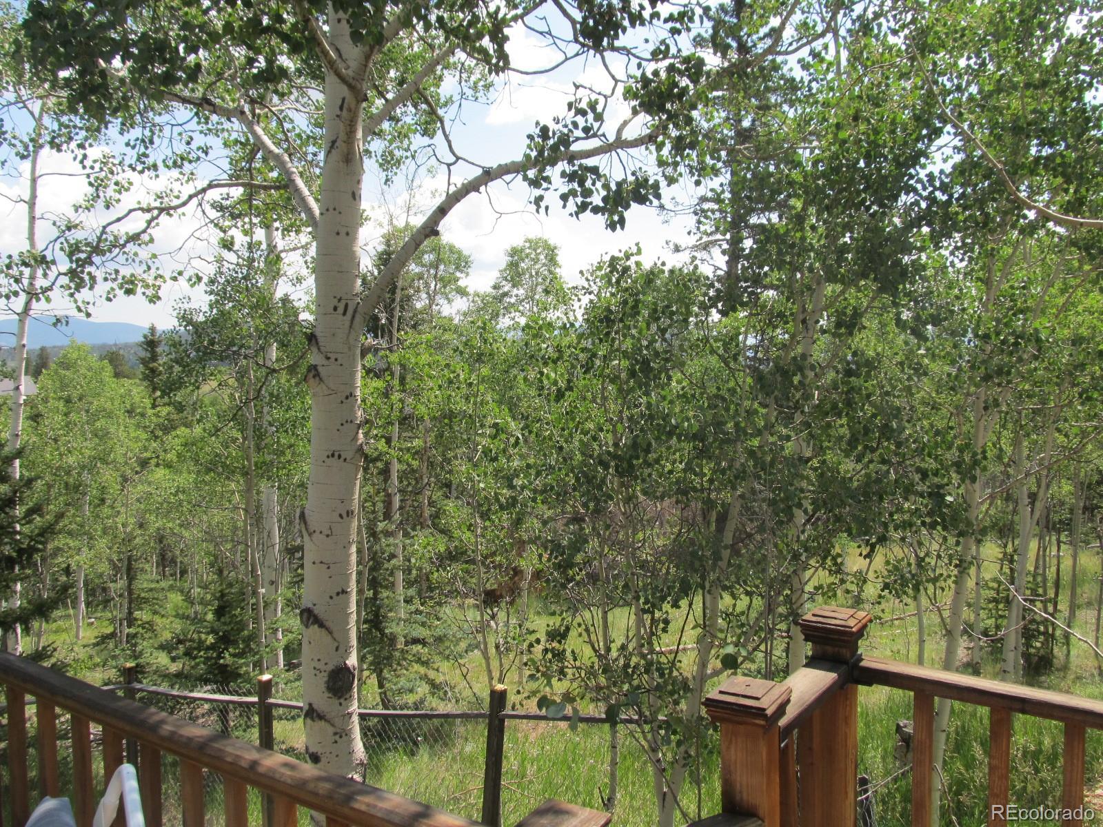 256 Falcon Road Como, CO 80432 - Photo 32 of 37 Gallery Image 32
