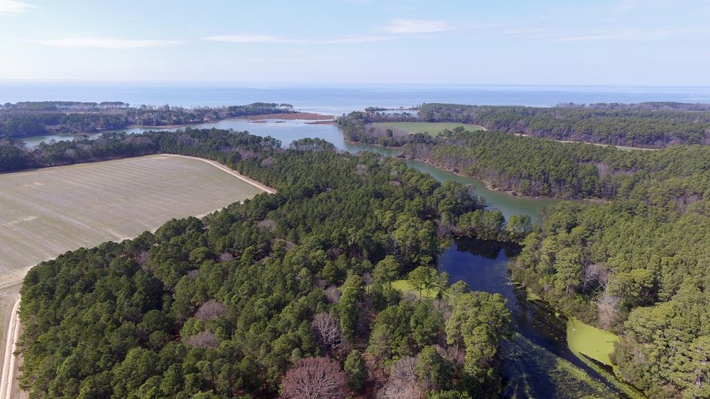 10360 Church Neck Road, Unit 12 Machipongo, VA 23405 - Photo 12 of 18